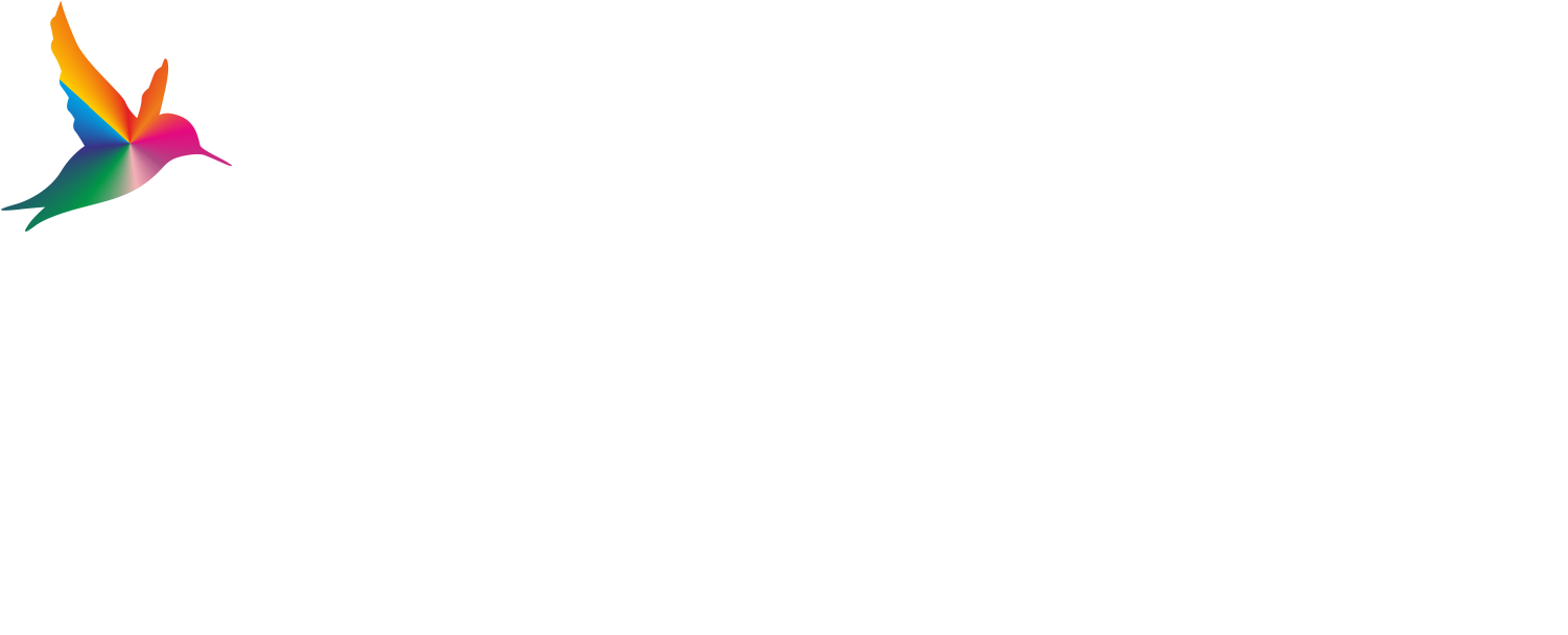 9 Birds Logo