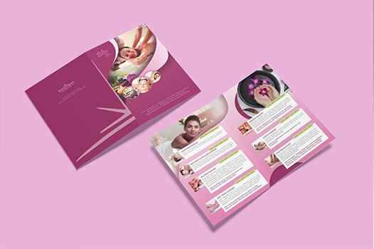 Peacock Brand Identity Project